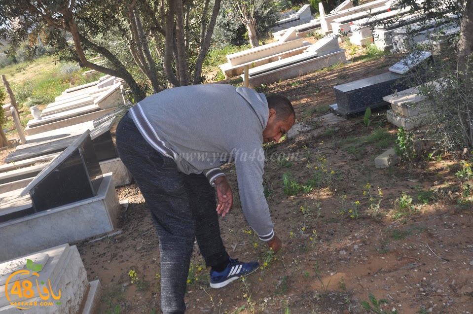 tasohamlalanjna (37).jpg